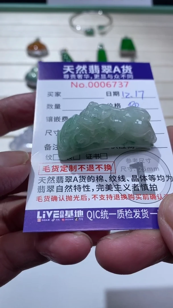 颈饰未镶嵌翡翠1