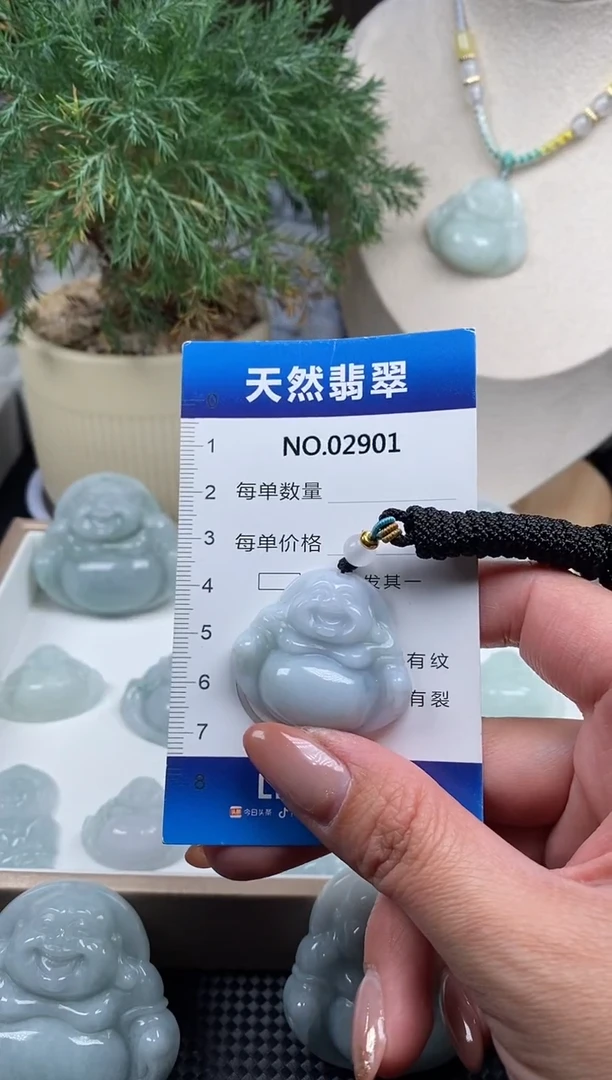 颈饰未镶嵌翡翠纯天然A货缅翡2901