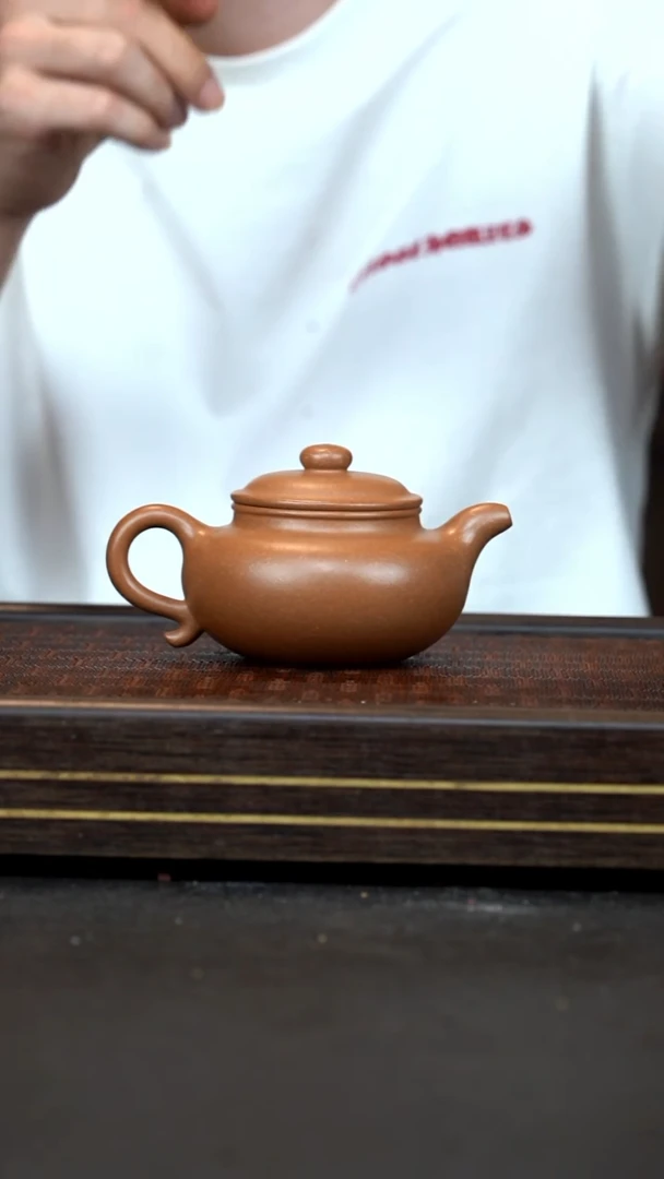 茶壶紫砂  LZX     沉香段      仿古        240cc