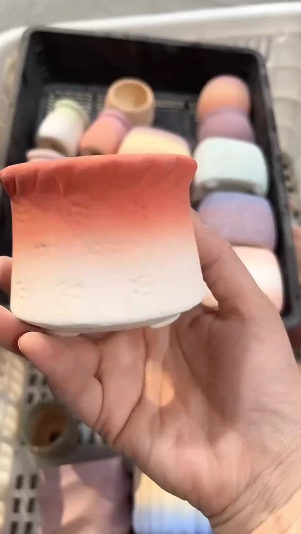 茵茵的欧气花园7*6