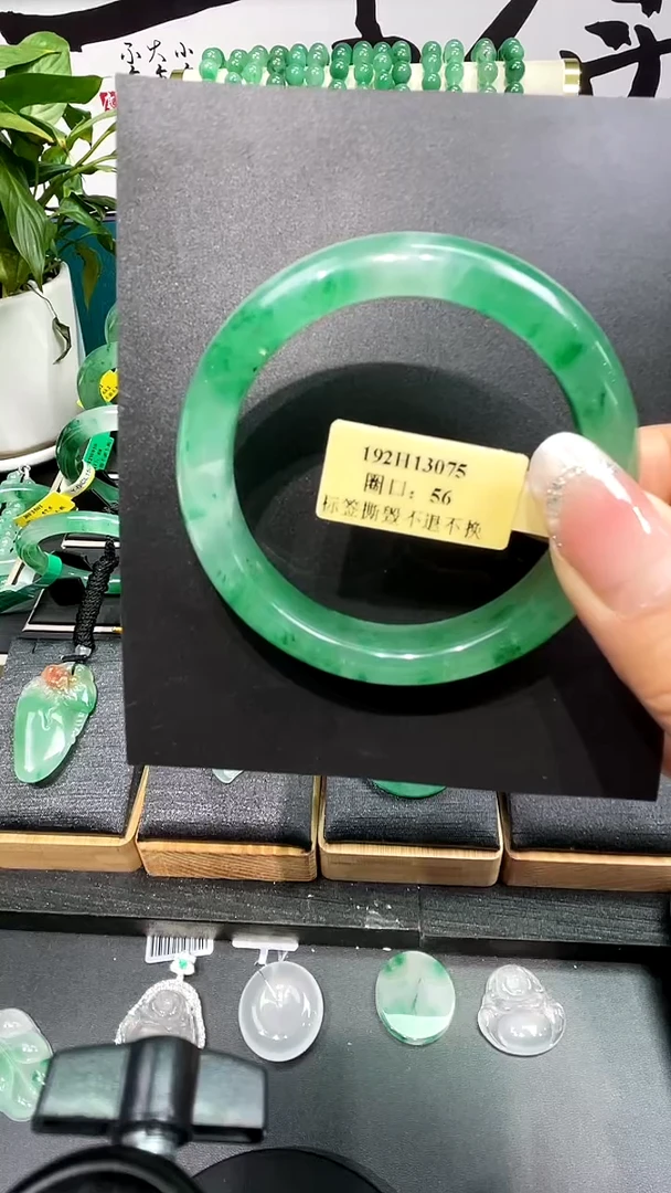 未镶嵌手镯石英质玉（非洲翠）手镯