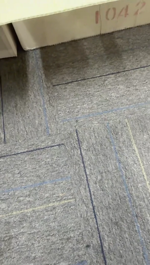 龙凤胎 对捆 银行保真 01+05 无4狮子8