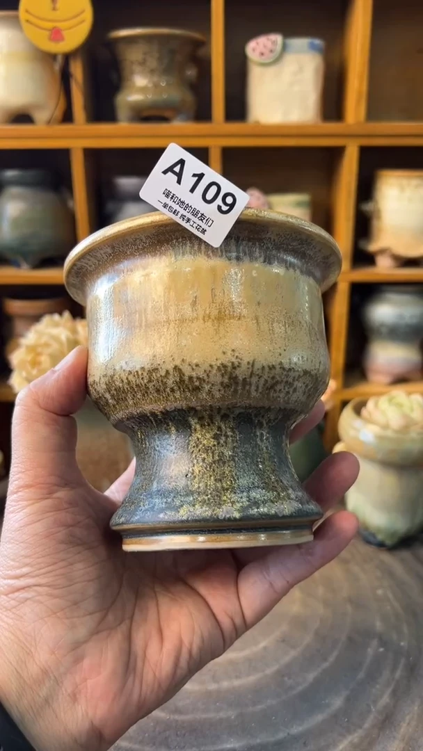 巨****墙109【多肉花盆多肉盆】