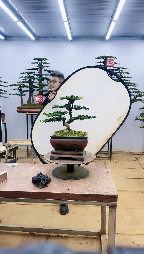 【闪购商品】一物一拍，所见即所得