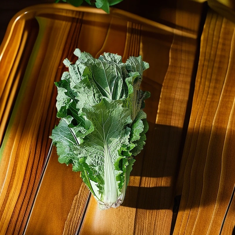 没心白菜新鲜采摘7斤生态农场