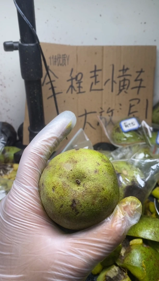 金**1不退不换ZWF四座楼28