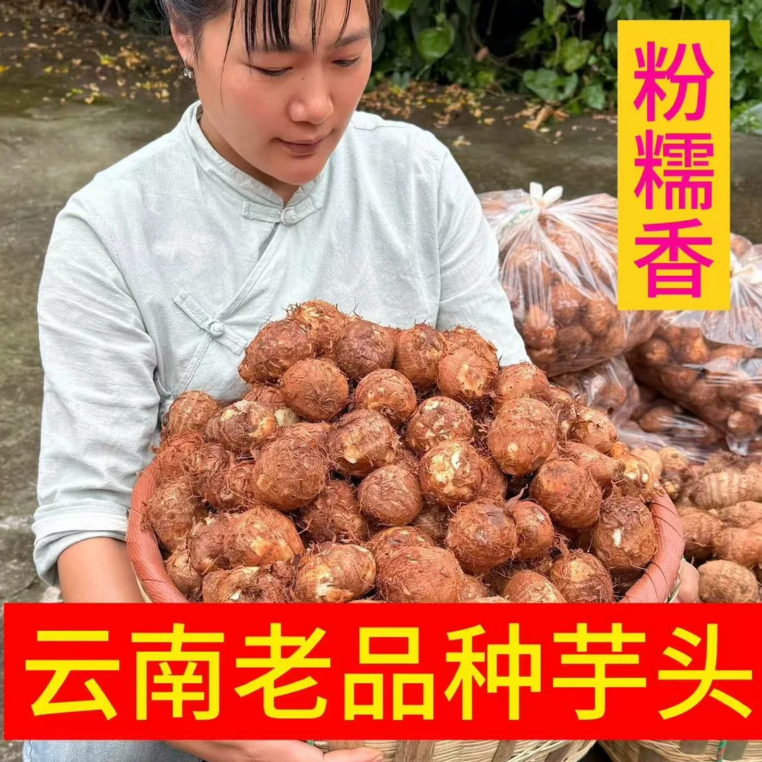 精选云南高山老品种芋头 粉糯香 个头中等