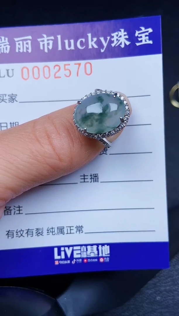 翡翠银S925镶嵌颈饰2570
