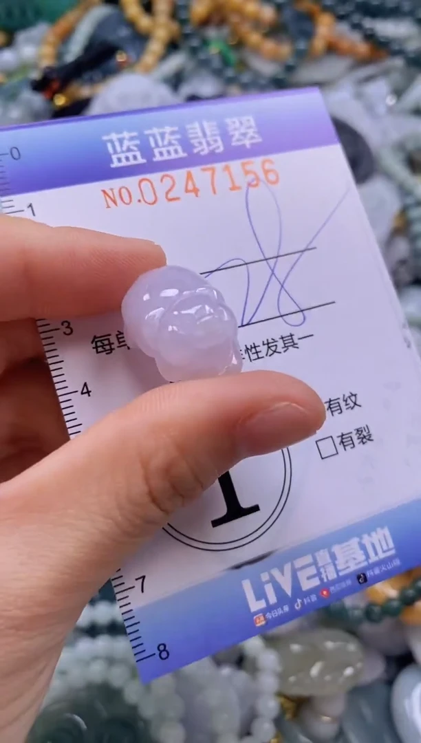 翡翠未镶嵌颈饰闪购0247156