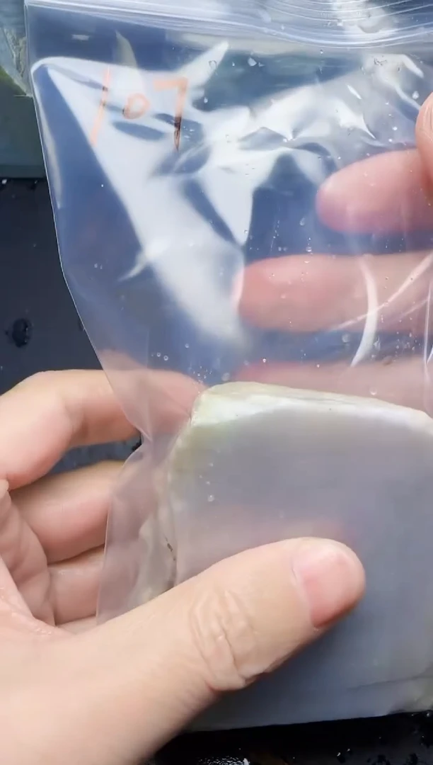 颈饰未镶嵌翡翠修*?107