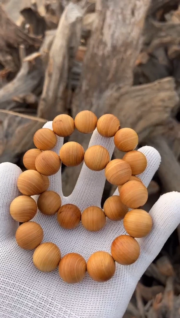 柏木（崖柏）太行崖柏1.8