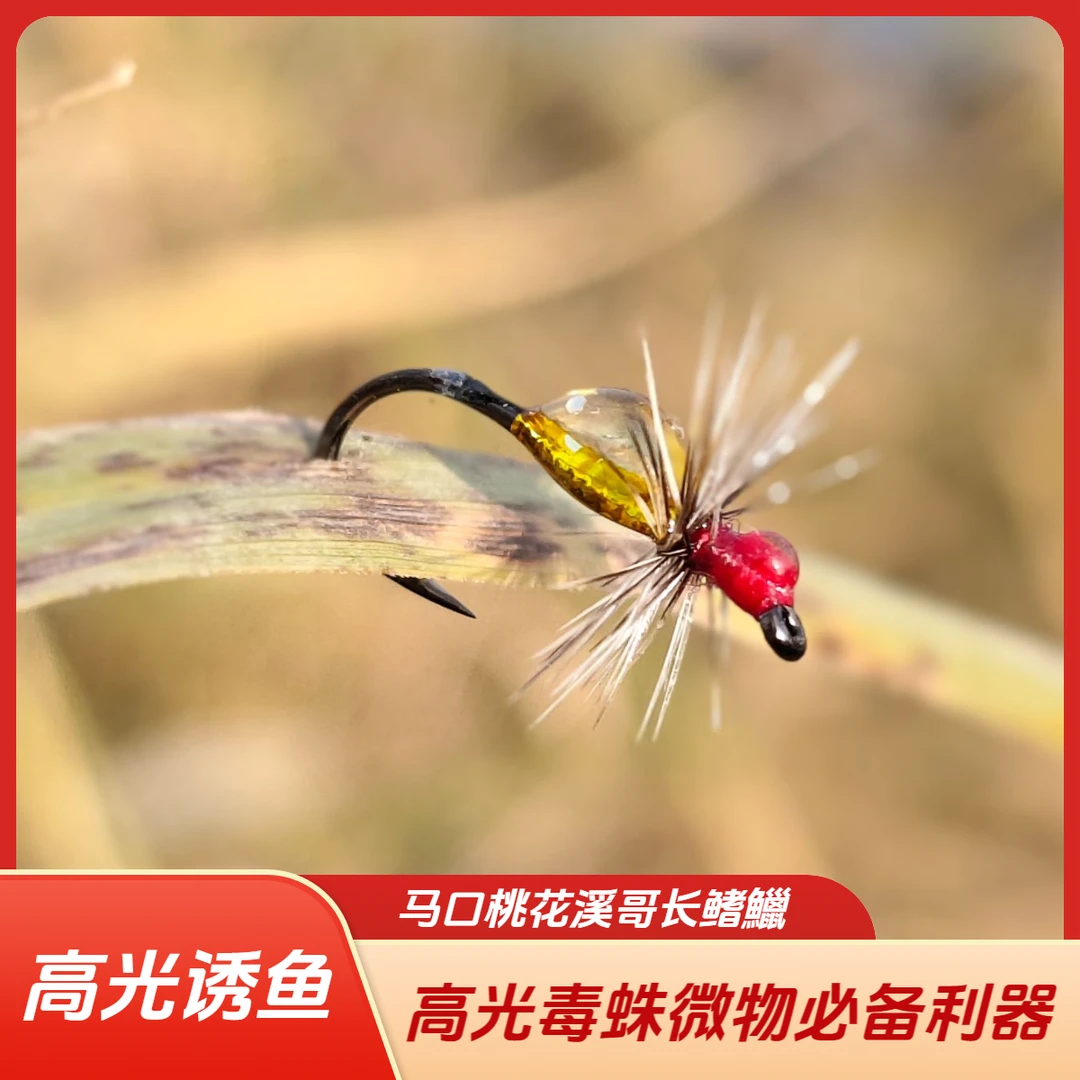 【高光毒蛛】高反光蜘蛛毒蚊摇蚊飞蝇钩马口桃花溪哥长鳍鱲