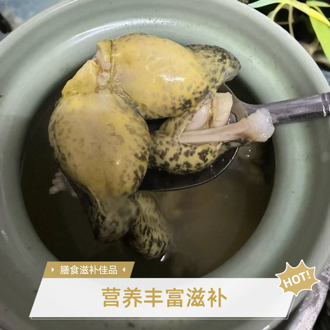 生态深山滋补的山泉养石蚌石洞石磷月子老人小孩滋补佳品鲜活包邮