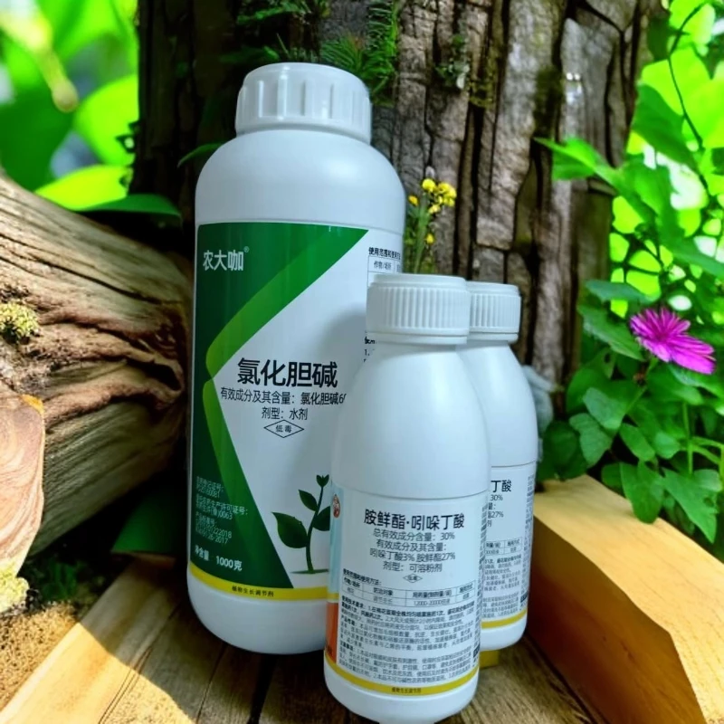 农大咖氯化胆碱调节剂，胺鲜脂吲哚丁酸生根增产绿叶增产组合