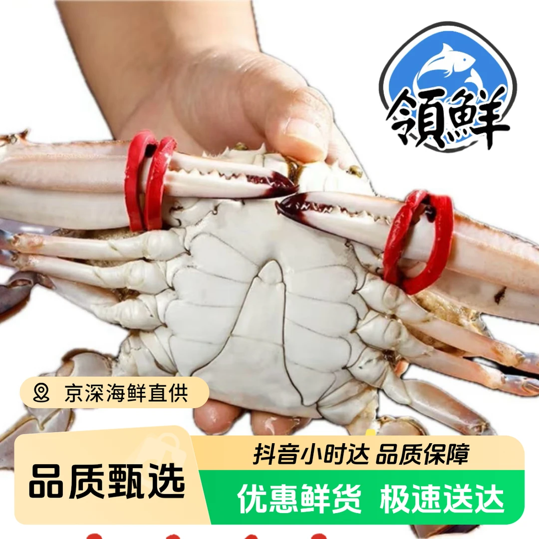 【鲜活】巨无霸大东公蟹单只 6-8两/只 （海捕蟹掉小腿属于正常）斤【鲜活发货】【保鲜不保活】