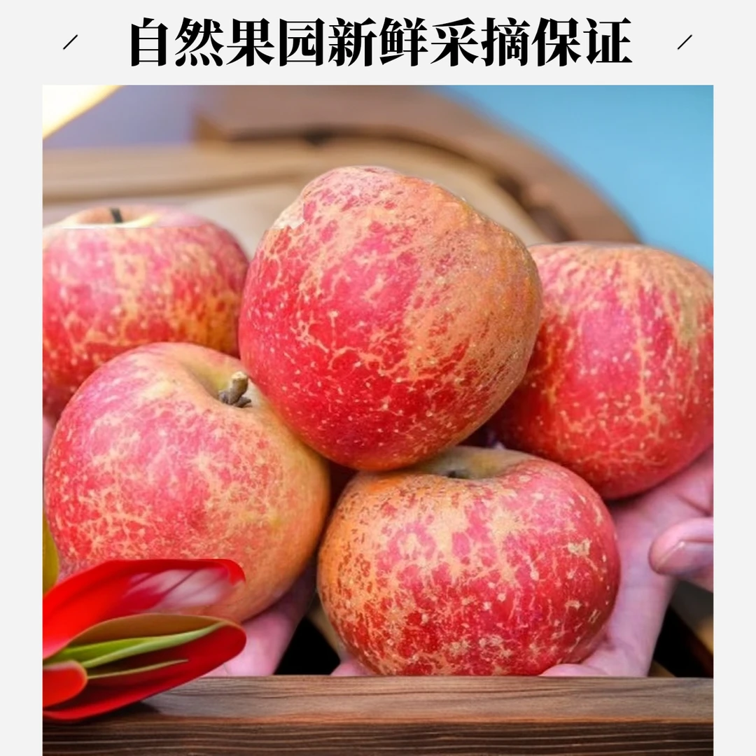 云南昭通冰糖心丑苹果新鲜优质自然果园3/5/10斤重量山区快递