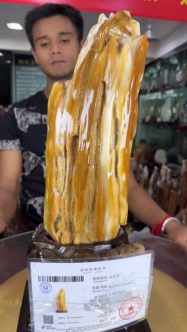 未镶嵌珠宝奇石硅化玉缅甸天然树化玉摆件