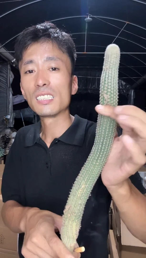 长啊长不知名19.99