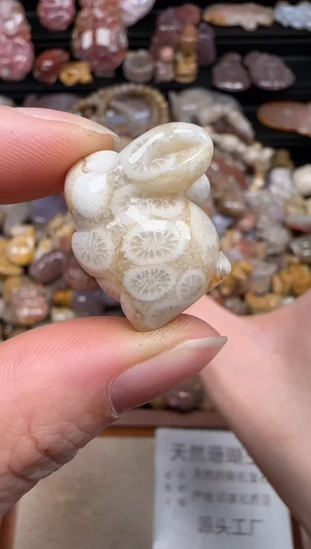 硅化珊瑚（珊瑚玉）未镶嵌颈饰305