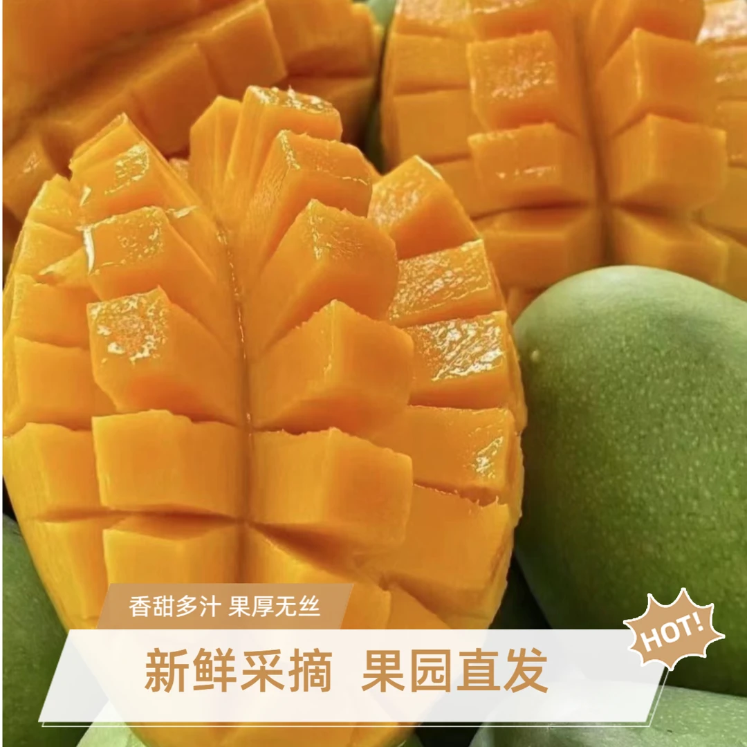 凯特芒果特级果8斤（攀枝花/昆明两仓发货）香甜多汁坏果包赔