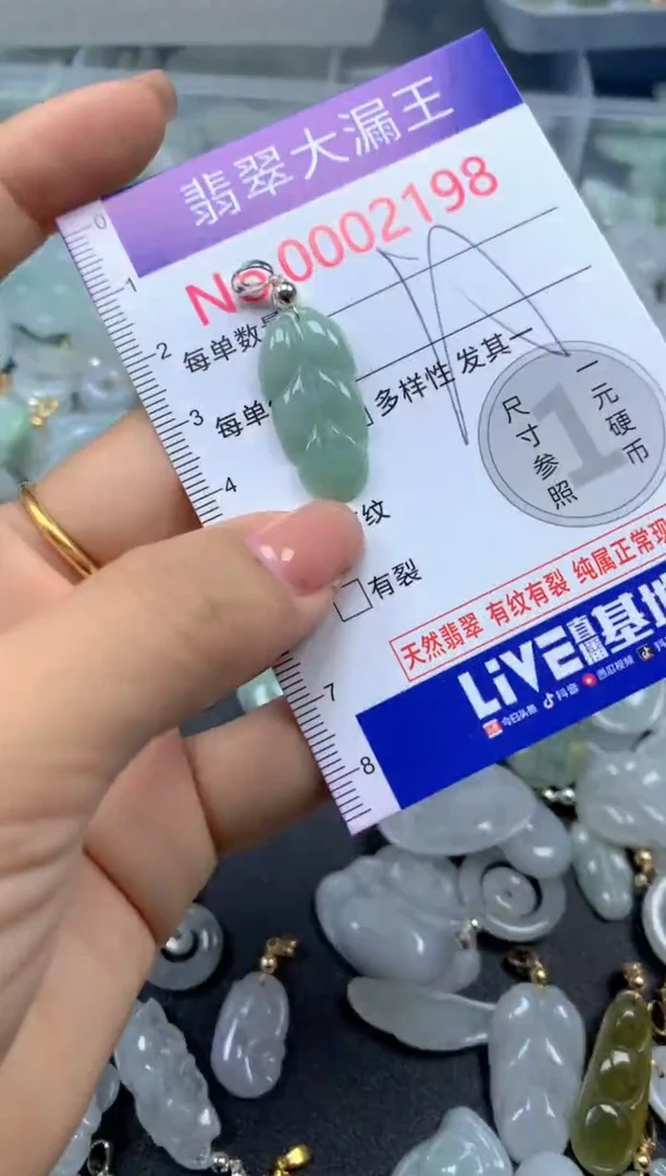 颈饰未镶嵌翡翠2198