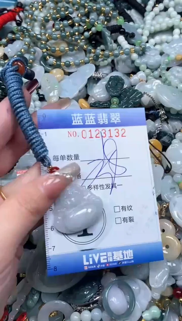 【闪购商品】翡翠颈饰未镶嵌闪购0123132多样性发其一