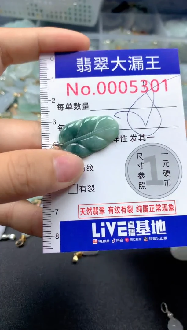 颈饰未镶嵌翡翠5301