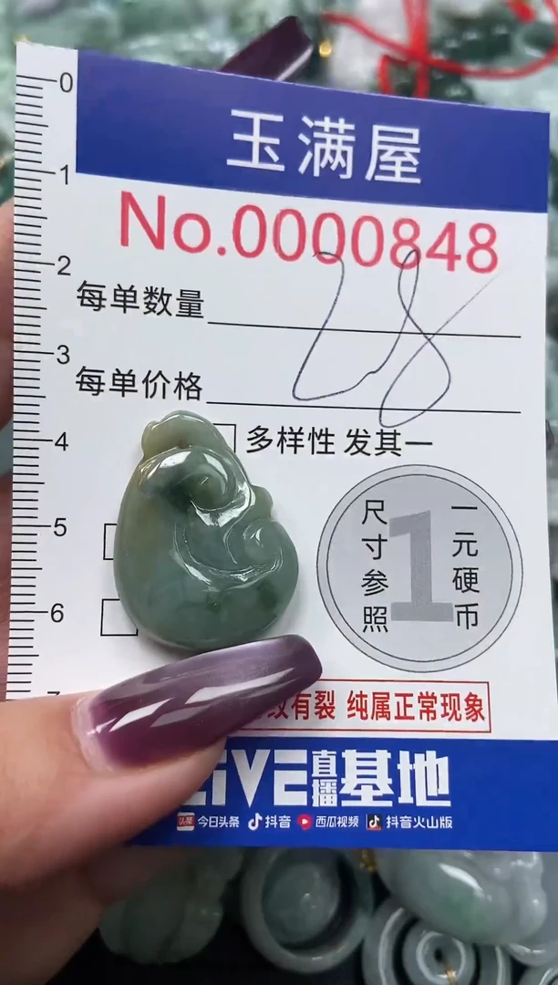 颈饰未镶嵌翡翠848