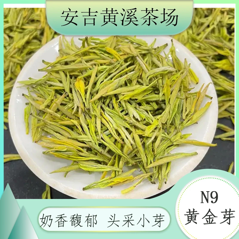 2025安吉黄溪茶场新茶【黄金芽n9】奶香味浓郁高端送礼白茶