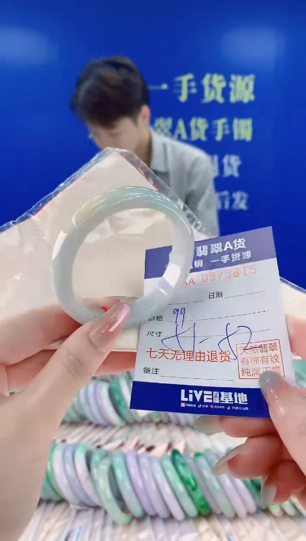 未镶嵌手镯翡翠15