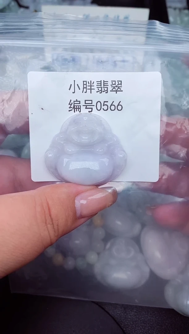 翡翠未镶嵌颈饰缅甸天然A货翡翠0566