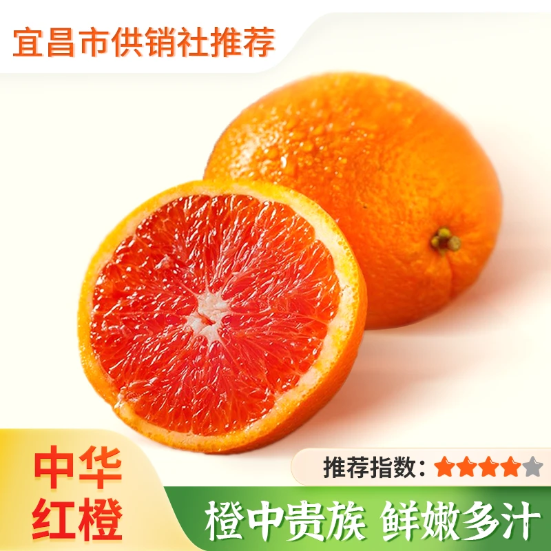 【供销优选】秭归中华红橙 当季现摘甜红心橙 核心产区 皮薄无籽