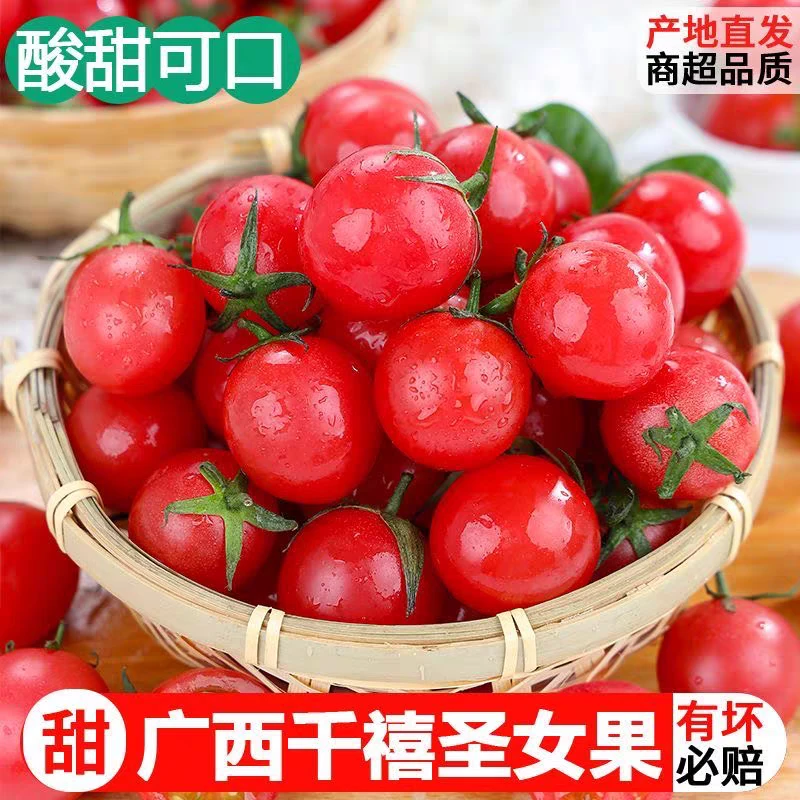 Q【现摘现发】广西千禧圣女果5斤小西红柿生吃小蕃茄新鲜纯天然水果
