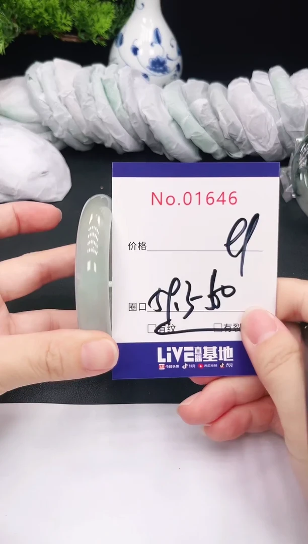 未镶嵌手镯翡翠1646