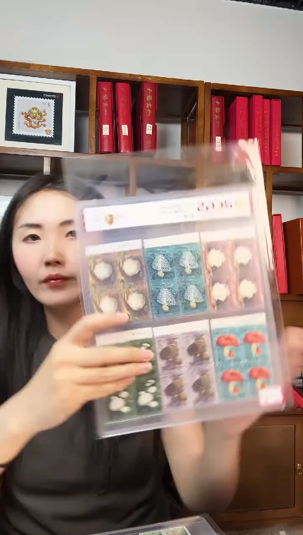 t66    食用菌    四方连   厂铭