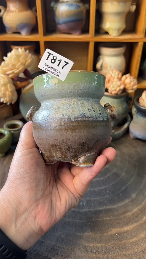 赤***紫817【多肉花盆多肉盆】