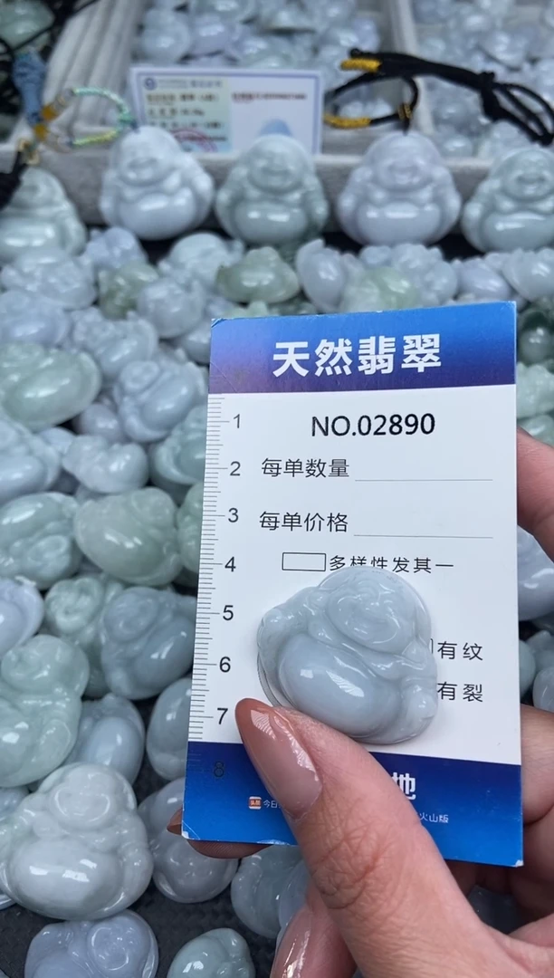 颈饰未镶嵌翡翠纯天然A货翡翠2890