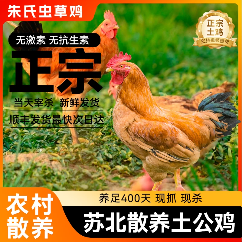 {朱四}土公鸡 2年的 净重3-3.5斤