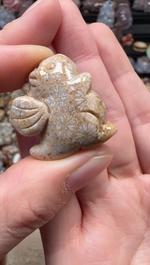 颈饰未镶嵌硅化珊瑚（珊瑚玉）028