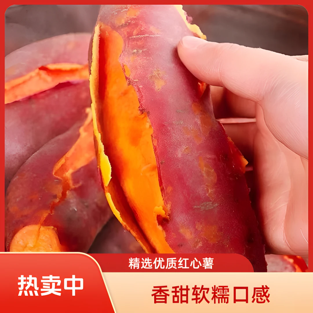 正宗沙地蜜薯农家现挖新鲜红薯香甜软糯西瓜红糖心红薯地瓜番薯