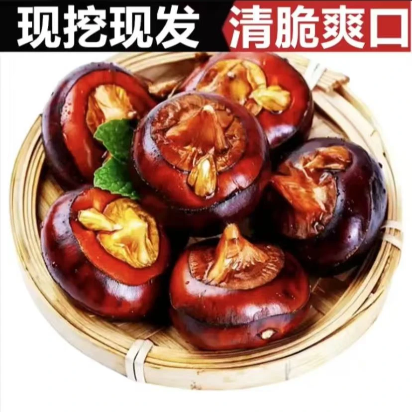 马蹄果农家自己种的。土货。脆甜多汁种现挖现卖。挖带泥发货包邮