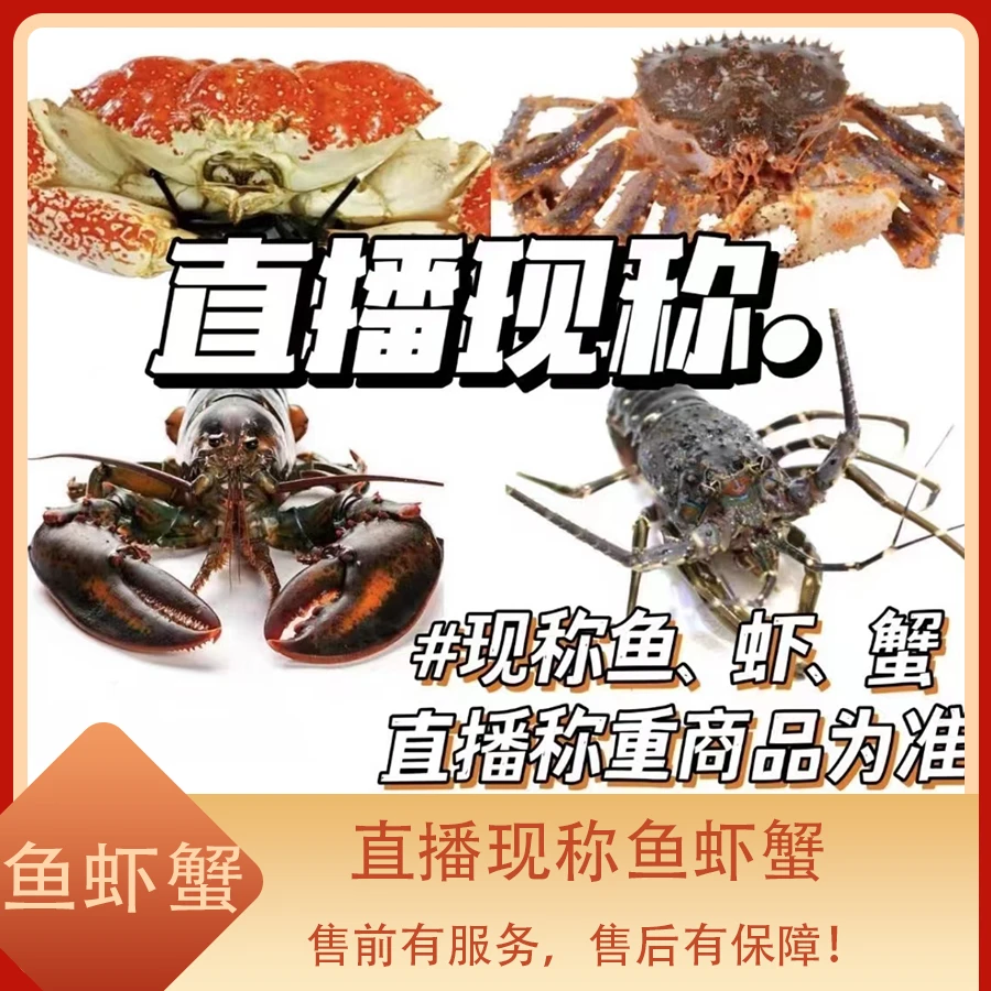 直播现称 江浙沪皖压冰【保鲜不保活】其余省份冻发 缺腿