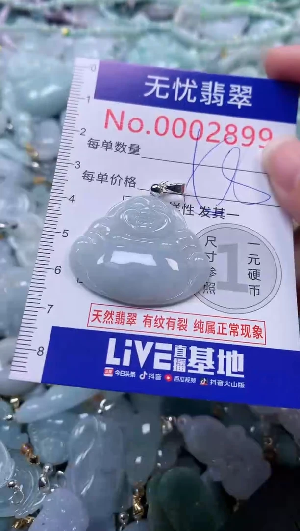 颈饰未镶嵌翡翠2899