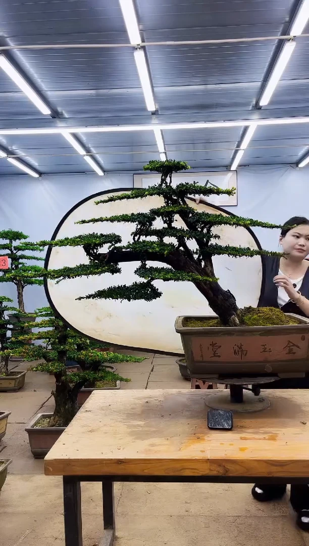 无花朵一物一拍，所见即所得