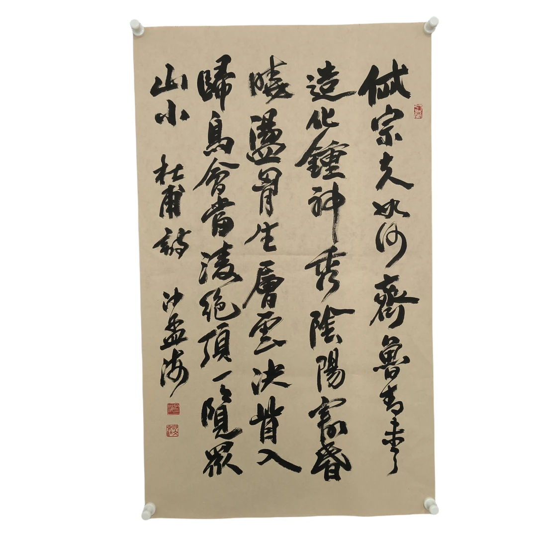 d410沙孟海书法软片尺寸58*97约5.6平尺