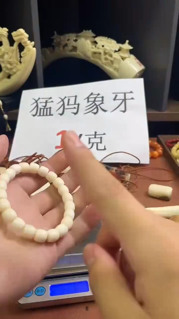 猛犸独独纯肉10*9直切单圈