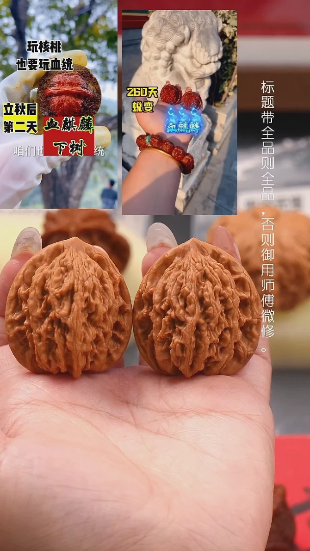 文玩核桃把件39至尊虎头