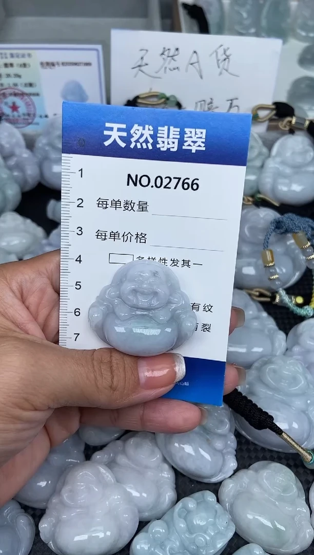 颈饰未镶嵌翡翠纯天然A货翡翠2766