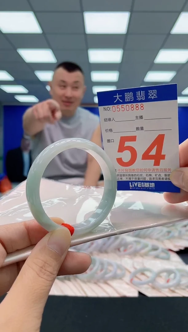 未镶嵌手镯翡翠AAAAAAAAA