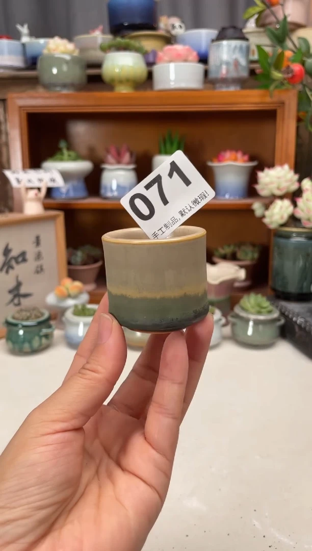 瓷片071知木小芳花盆